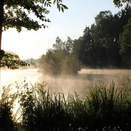 Spacious Near Forest In Apartman