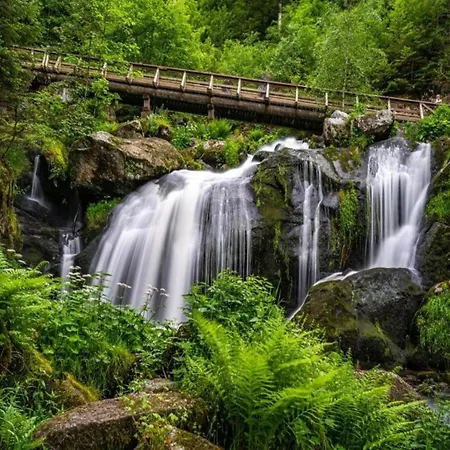 Spacious Near Forest In Apartman