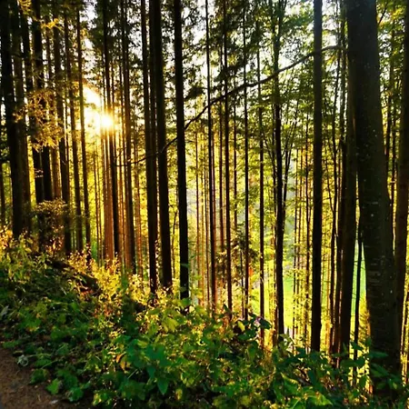 Apartman Spacious Near Forest In Bad Dürrheim