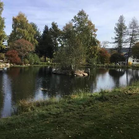 Spacious Near Forest In Bad Dürrheim