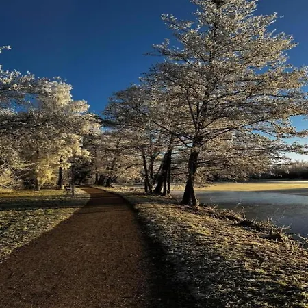 Spacious Near Forest In Apartman *