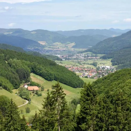 Spacious Near Forest In