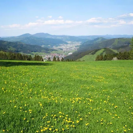 Spacious Near Forest In *