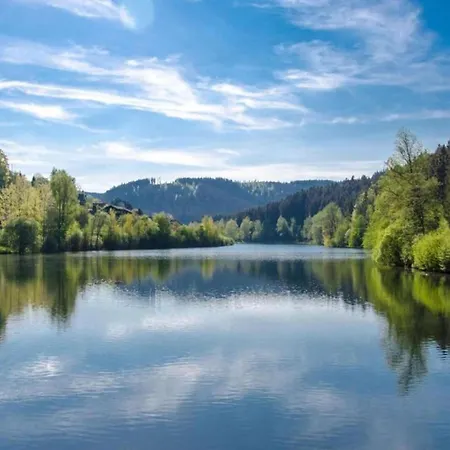 Spacious Near Forest In Bad Dürrheim