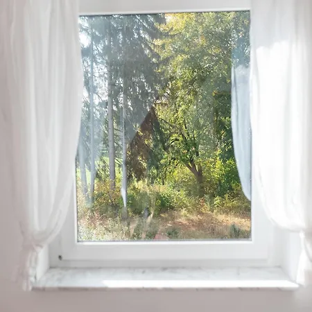 Spacious Near Forest In Apartman